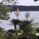 On With Waterfront Views * Supetarska Draga