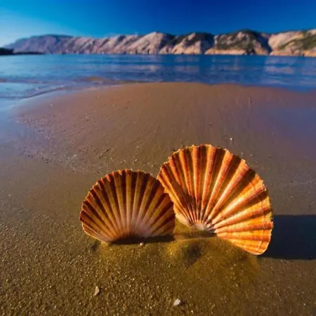 On With Waterfront Views Διαμέρισμα *